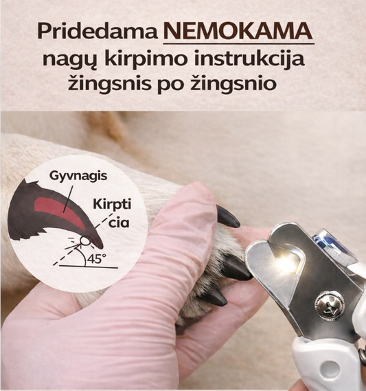 Šeimininko Švelni Pėdutė 3 Viename Rinkinys