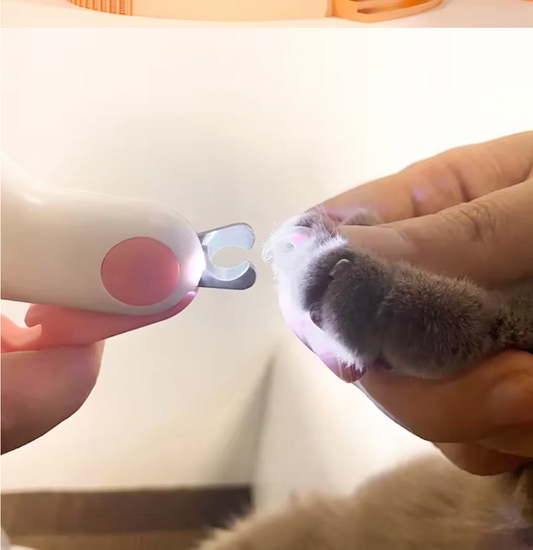 Mini LED PawTrim™ nagų žirklutės